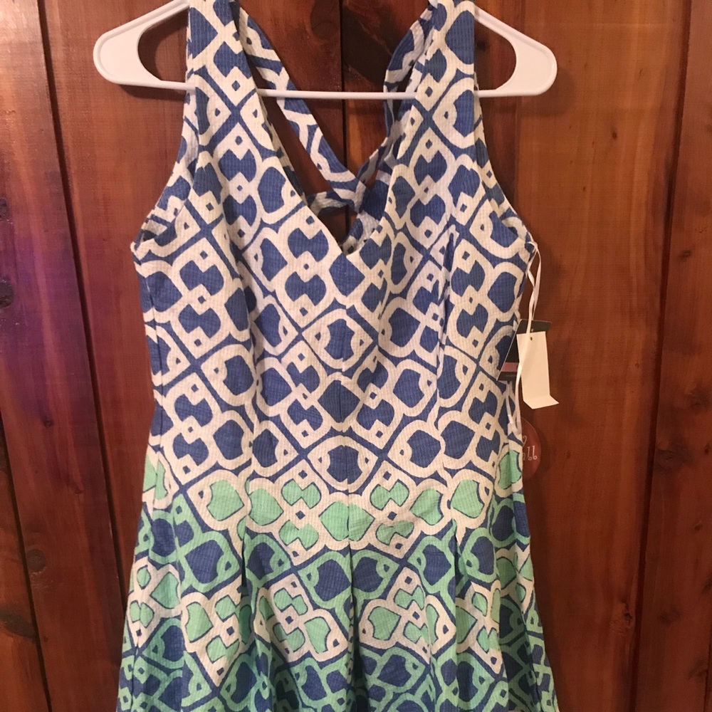 Taylor Swift Dress